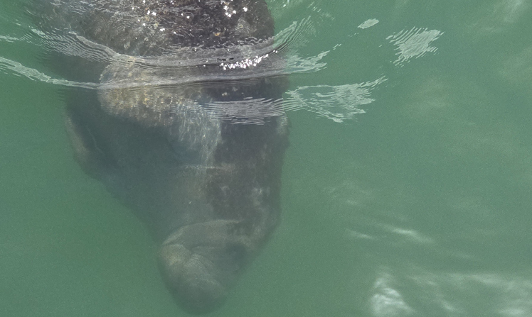 Enjoying coastal wildlife views during private boat excursions
