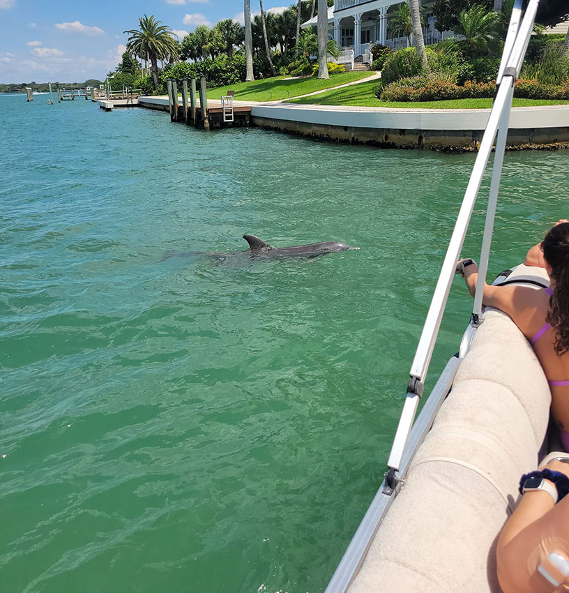 Showing dolphin sandbar trip feel on Siesta Key coastal waters