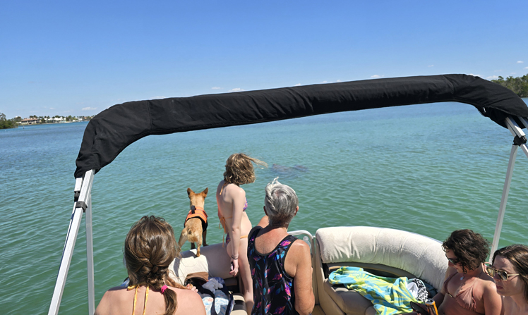 Creating memorable family moments during boat tour trips